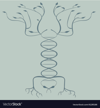 dna blank tree dna blank tree