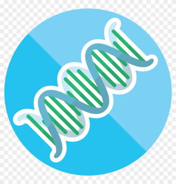 Dna Clipart Genetic Trait - Medical Devices Quality Engineer