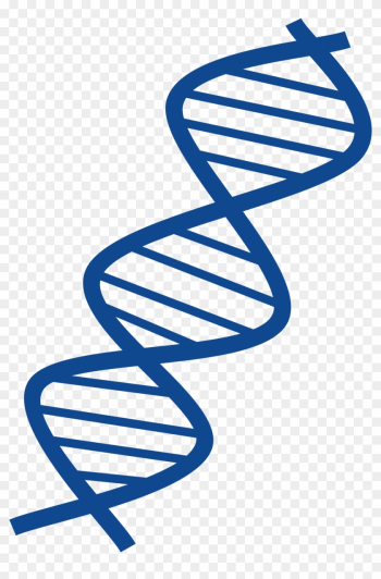 Dna - Dna Clipart