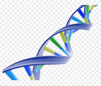 Dna Double Helix Png Dna Double Helix Png
