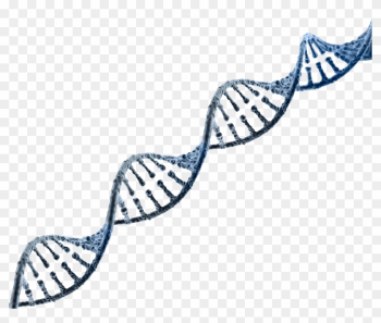 Dna Strand Transparent Background