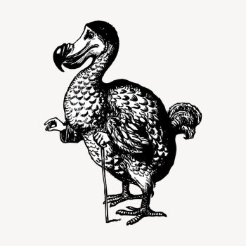 Dodo bird clipart, vintage animal | Free Vector - rawpixel Dodo bird clipart, vintage animal | Free Vector - rawpixel
