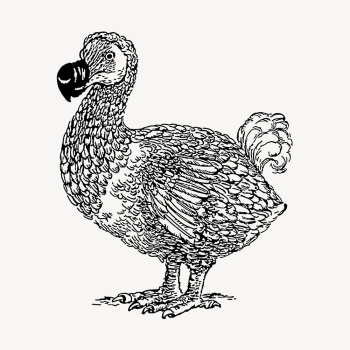 Dodo bird clipart, vintage wildlife | Free Vector - rawpixel Dodo bird clipart, vintage wildlife | Free Vector - rawpixel