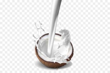 Dodol Coconut milk Coconut water Thai cuisine - Coconut milk Dodol Coconut milk Coconut water Thai cuisine - Coconut milk