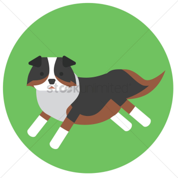 Dog Dog