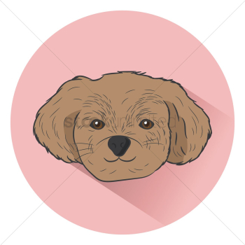 Dog Dog