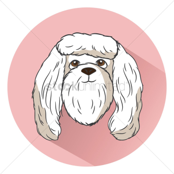 Dog Dog