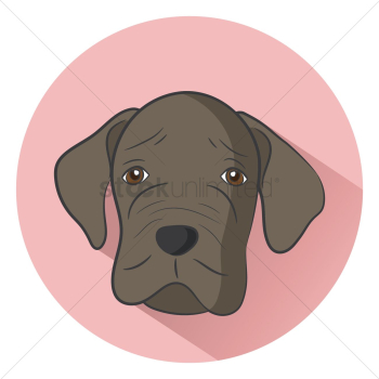 Dog Dog