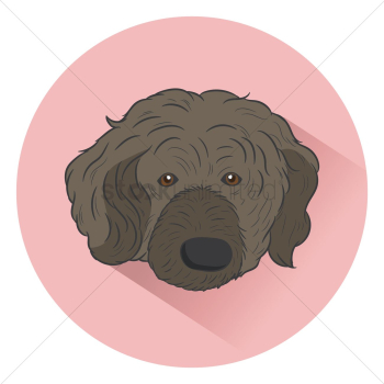 Dog Dog