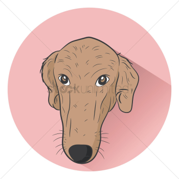 Dog Dog