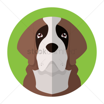Dog Dog