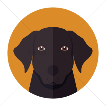 Dog Dog