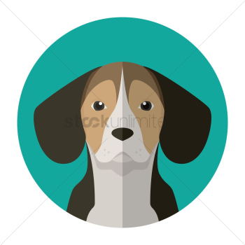 Dog Dog