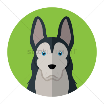Dog Dog