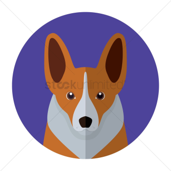 Dog Dog