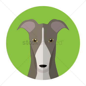 Dog Dog