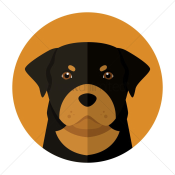 Dog Dog