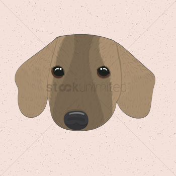 Dog Dog