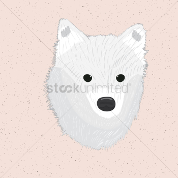 Dog Dog
