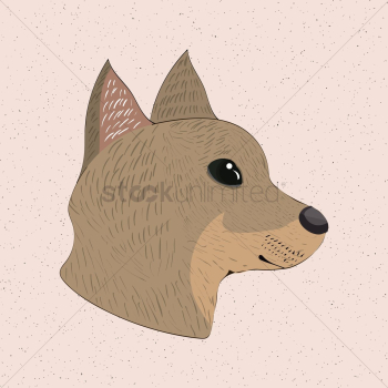 Dog Dog