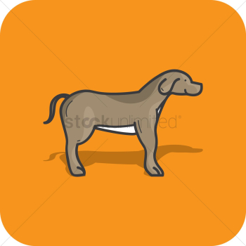 Dog Dog