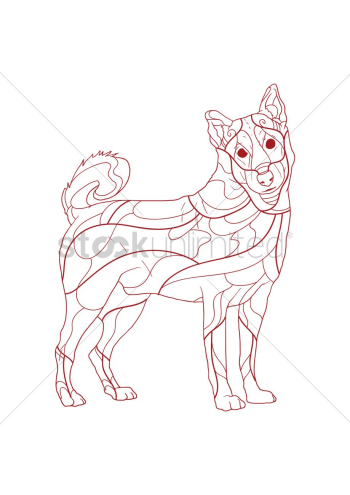 Dog Dog