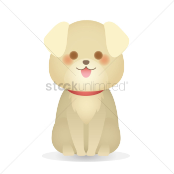 Dog Dog