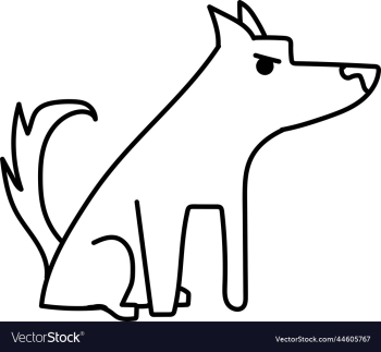 dog dog