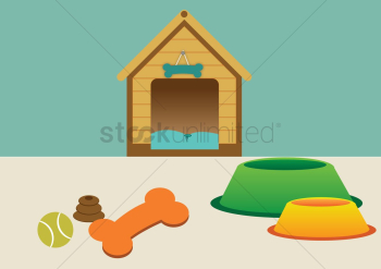 Dog accessories Dog accessories