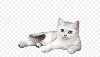 Dog American Shorthair British Shorthair Pet Scratching post - dog 