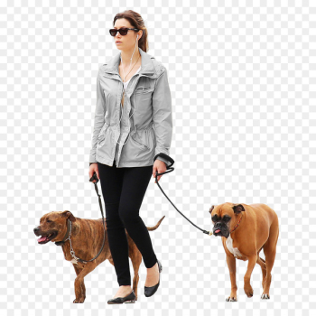 Dog Architecture Architectural rendering - dogs Dog Architecture Architectural rendering - dogs