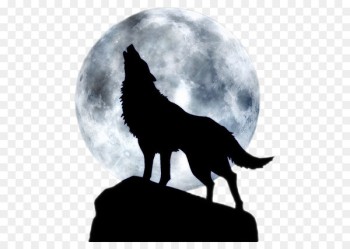 Dog Arctic wolf Three Wolf Moon T-shirt - Full moon howl Dog Arctic wolf Three Wolf Moon T-shirt - Full moon howl