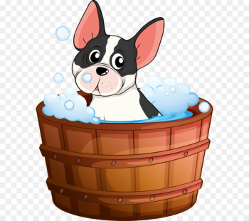 Dog Bathing Cat Illustration - Puppy bath Dog Bathing Cat Illustration - Puppy bath