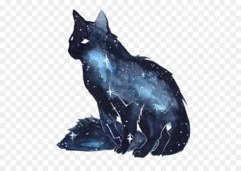 Dog Black cat Kitten - Ink Star Kitten Dog Black cat Kitten - Ink Star Kitten