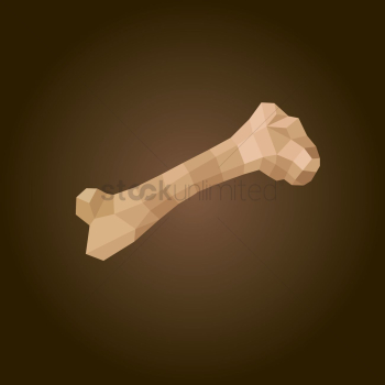 Dog bone