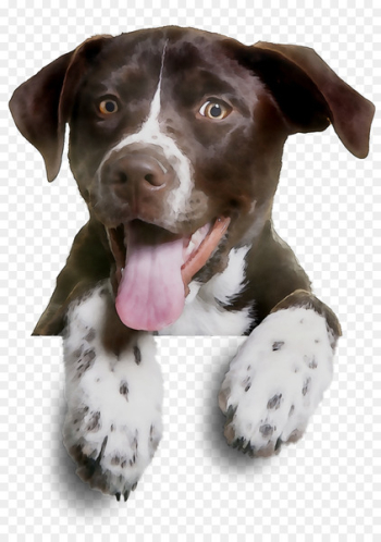 Dog breed Clip art German Shorthaired Pointer German Wirehaired Pointer Dog training -  