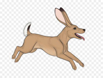 Dog breed Domestic rabbit Puppy Hare - puppy Dog breed Domestic rabbit Puppy Hare - puppy