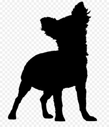 Dog breed Facebook Munich Mustang -  