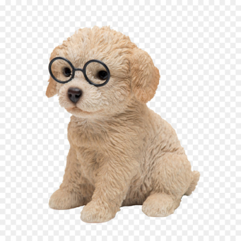 Dog breed Labrador Retriever Labradoodle Puppy Companion dog - puppy 