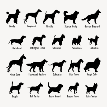 Dog breed names silhouette clipart, | Free Photo - rawpixel Dog breed names silhouette clipart, | Free Photo - rawpixel