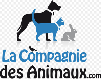 Dog breed Puppy A La Compagnie des Animaux - puppy Dog breed Puppy A La Compagnie des Animaux - puppy