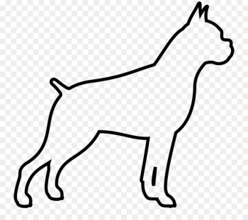 Dog breed Puppy Boxer Non-sporting group Border Collie - puppy 
