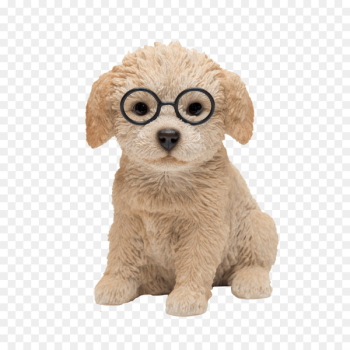 Dog breed Puppy Companion dog - puppy Dog breed Puppy Companion dog - puppy