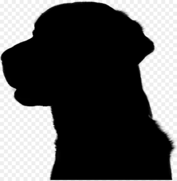 Dog breed Puppy Snout Silhouette - Dog breed Puppy Snout Silhouette -