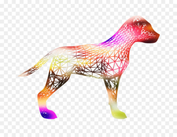Dog, Canidae PNG Dog, Canidae PNG
