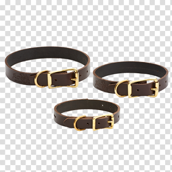 Dog Collar PNG Background Image Dog Collar PNG Background Image