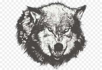 Dog Drawing Black wolf Sketch - Vector painted wolf Dog Drawing Black wolf Sketch - Vector painted wolf