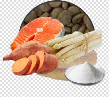 Dog Food Smoked salmon Cat Food, elderly home transparent background PNG clipart