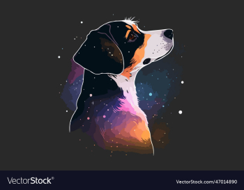 dog galaxy