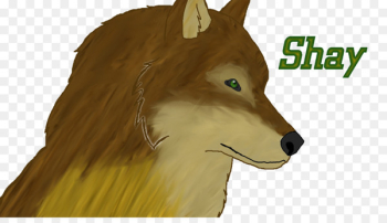 Dog, Mammal, Canidae, Vertebrate PNG Dog, Mammal, Canidae, Vertebrate PNG
